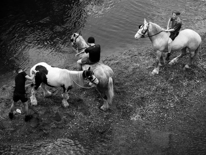 Appleby Horse Fair, Appleby-in-Westmorland, UK