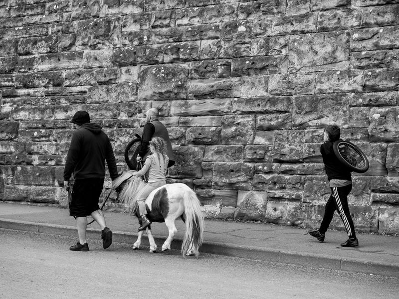 Appleby Horse Fair, Appleby-in-Westmorland, UK