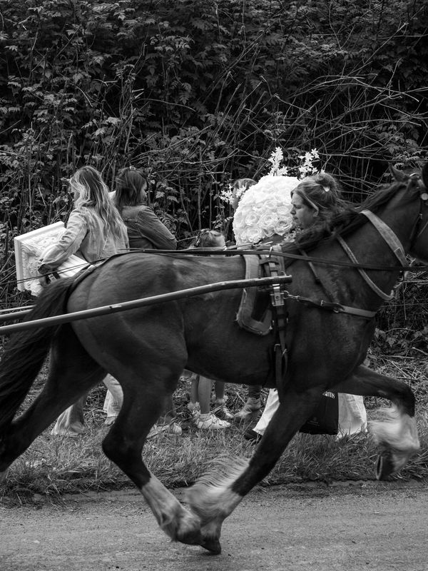 Appleby Horse Fair, Appleby-in-Westmorland, UK
