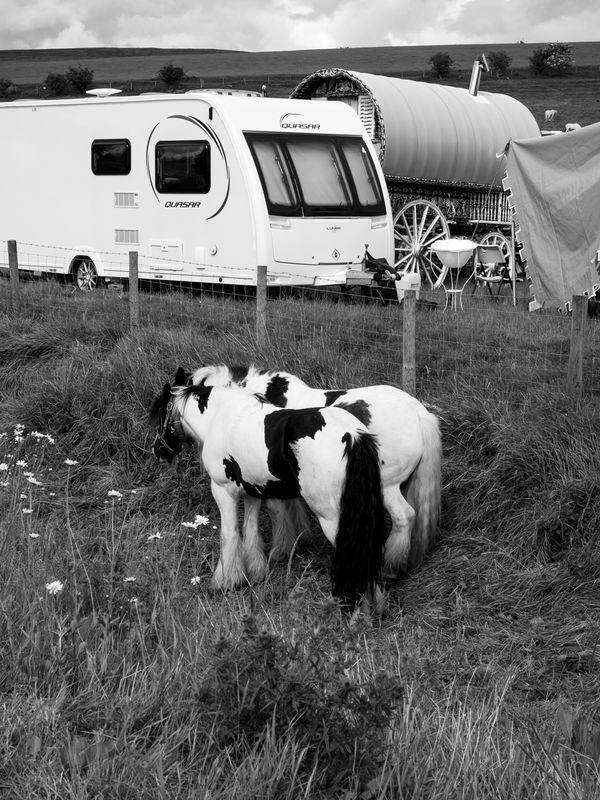 Appleby Horse Fair, Appleby-in-Westmorland, UK