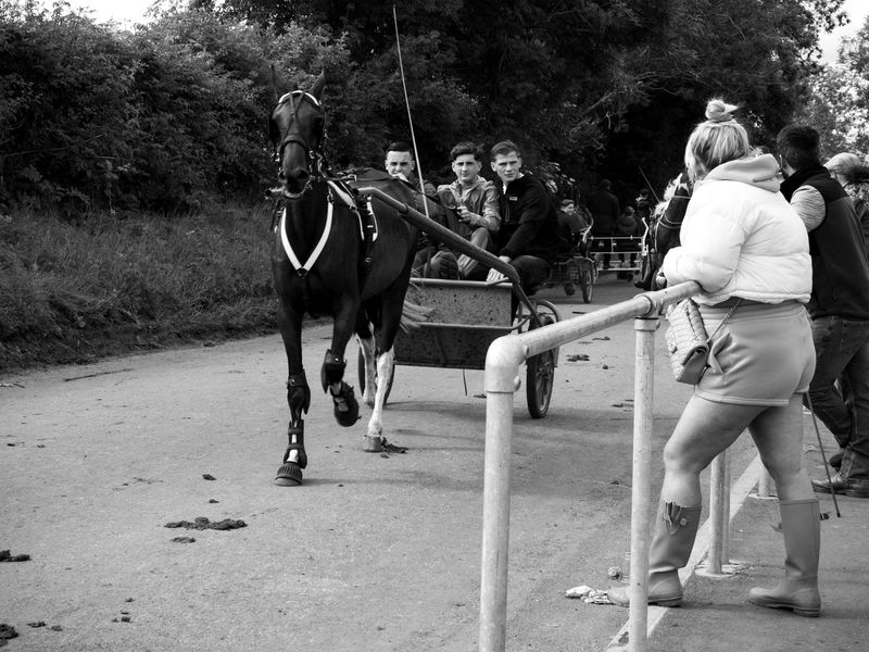 Appleby Horse Fair, Appleby-in-Westmorland, UK
