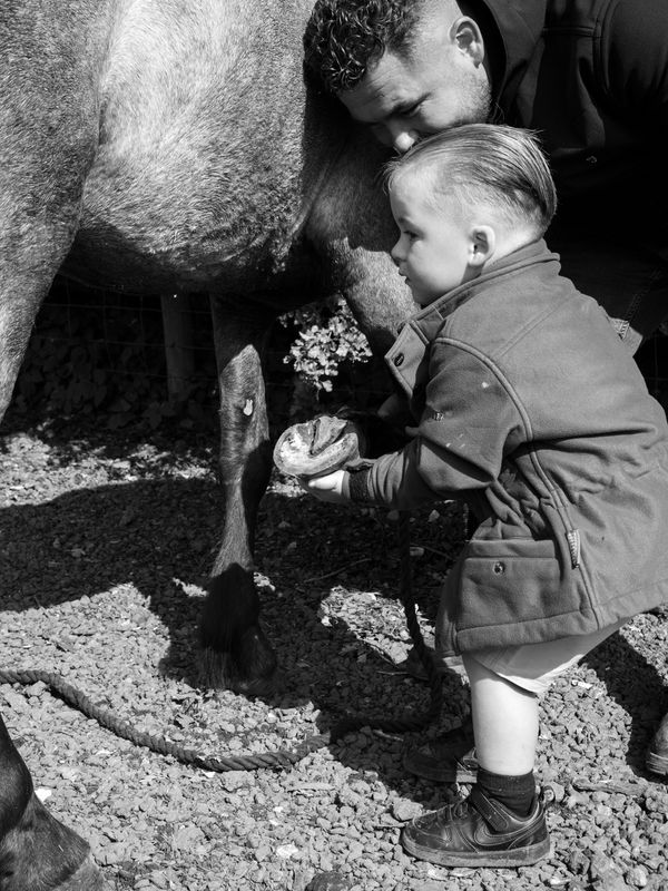 Appleby Horse Fair, Appleby-in-Westmorland, UK