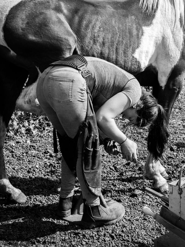 Appleby Horse Fair, Appleby-in-Westmorland, UK