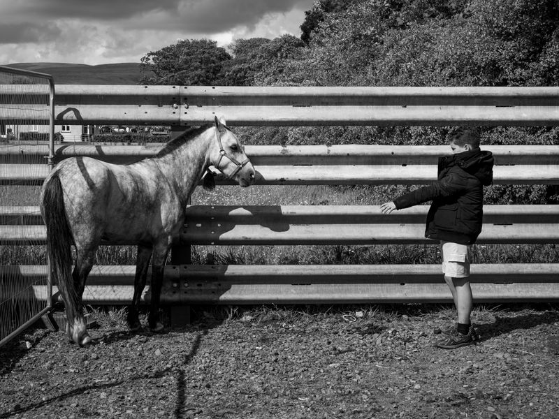 Appleby Horse Fair, Appleby-in-Westmorland, UK