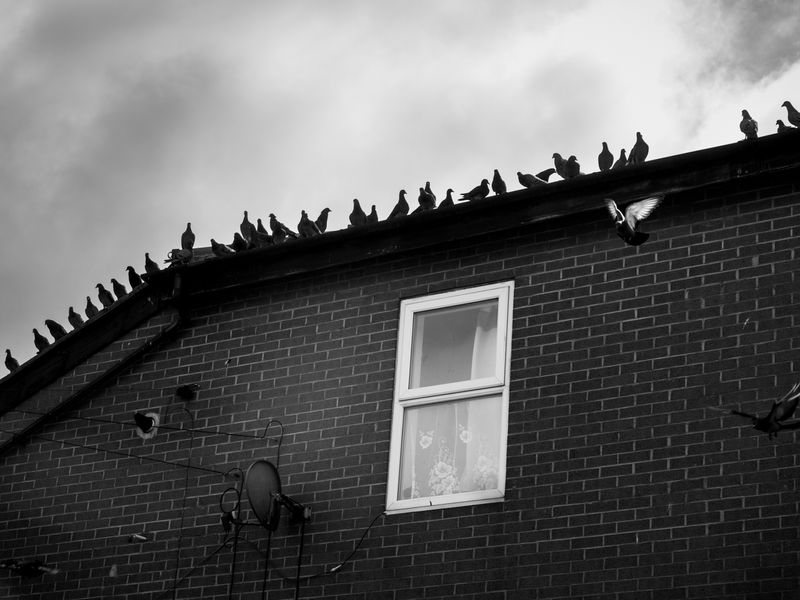 Preston, UK
