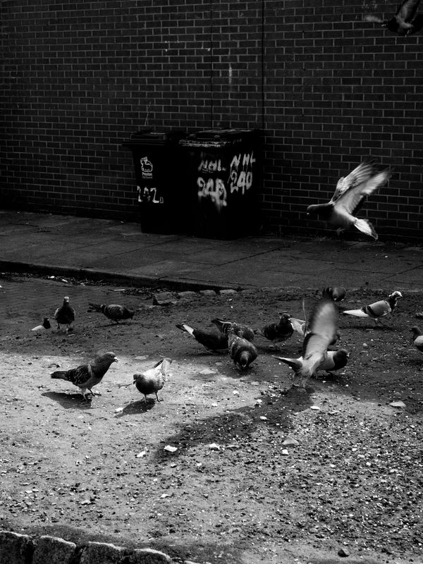 Preston, UK