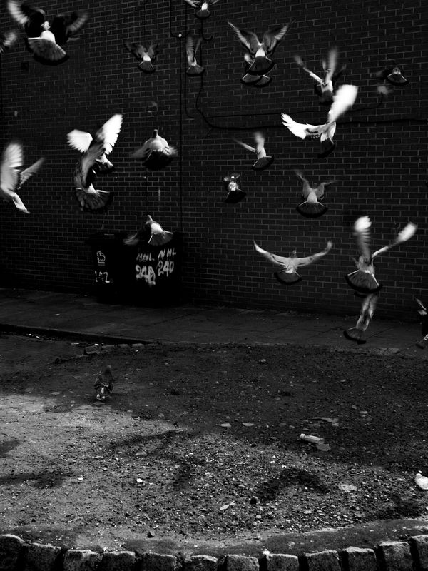 Preston, UK