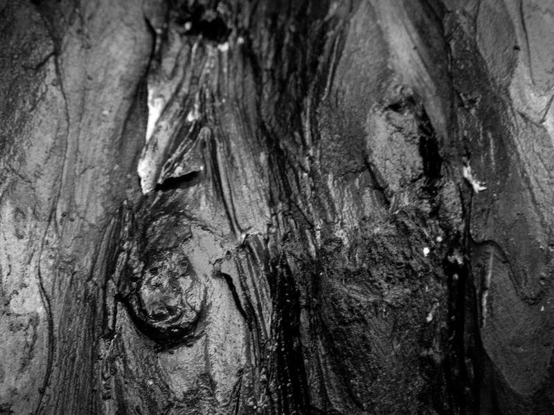 Eaves Wood, Silverdale, UK