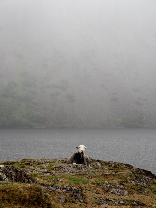 Wastwater, Wasdale, The Lake District, UK