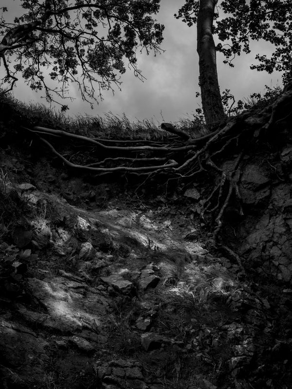Silverdale Cove, UK