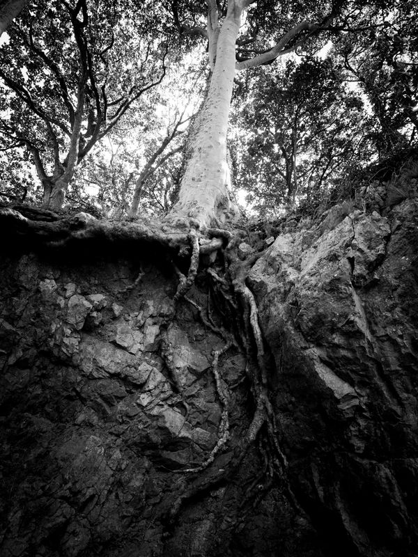 Silverdale Cove, UK