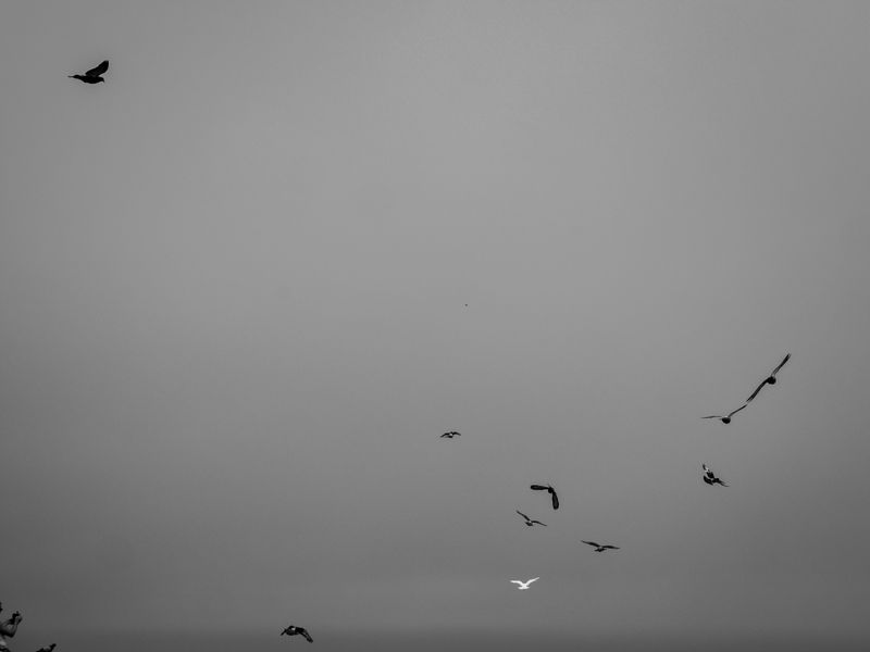 Hartlepool, UK