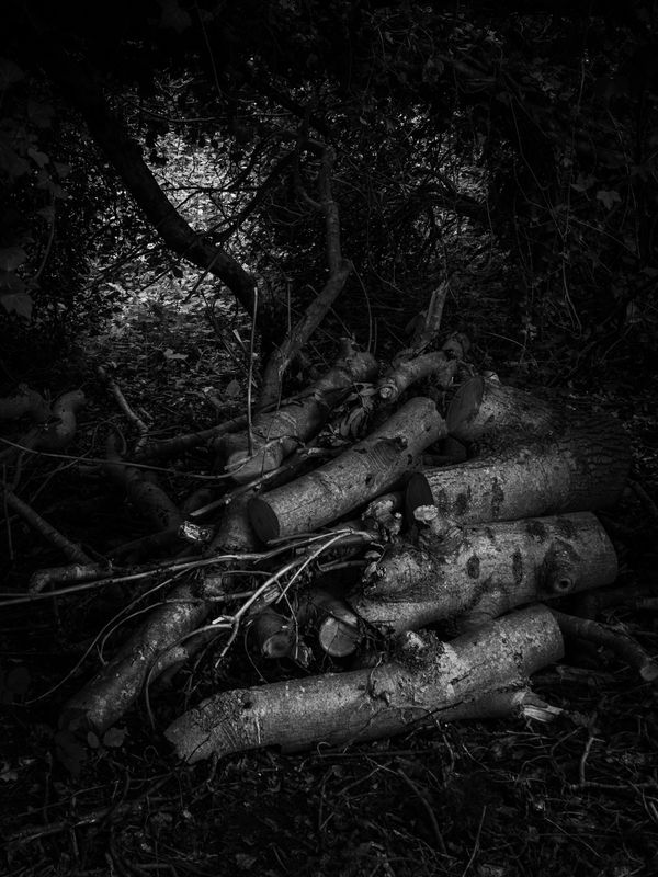 Warton Crag, Warton, UK