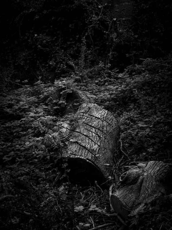 Warton Crag, Warton, UK