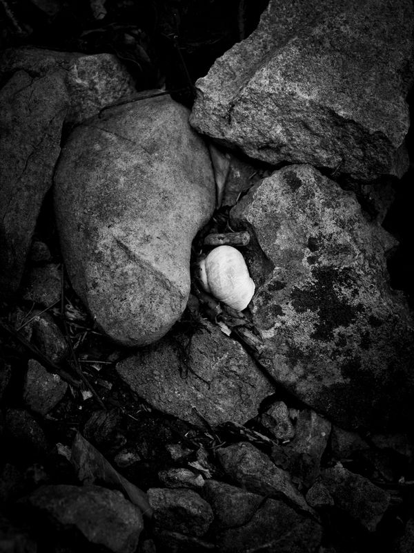 Warton Crag, Warton, UK