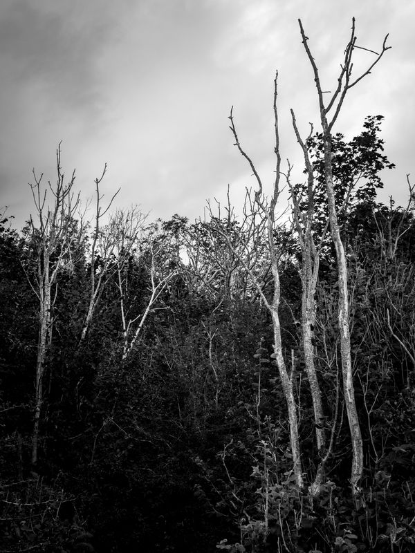 Warton Crag, Warton, UK