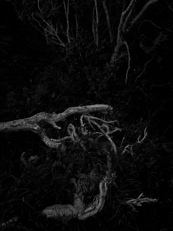 Warton Crag, Warton, UK