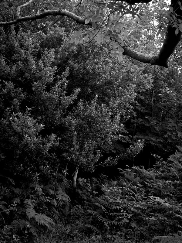 Warton Crag, Warton, UK