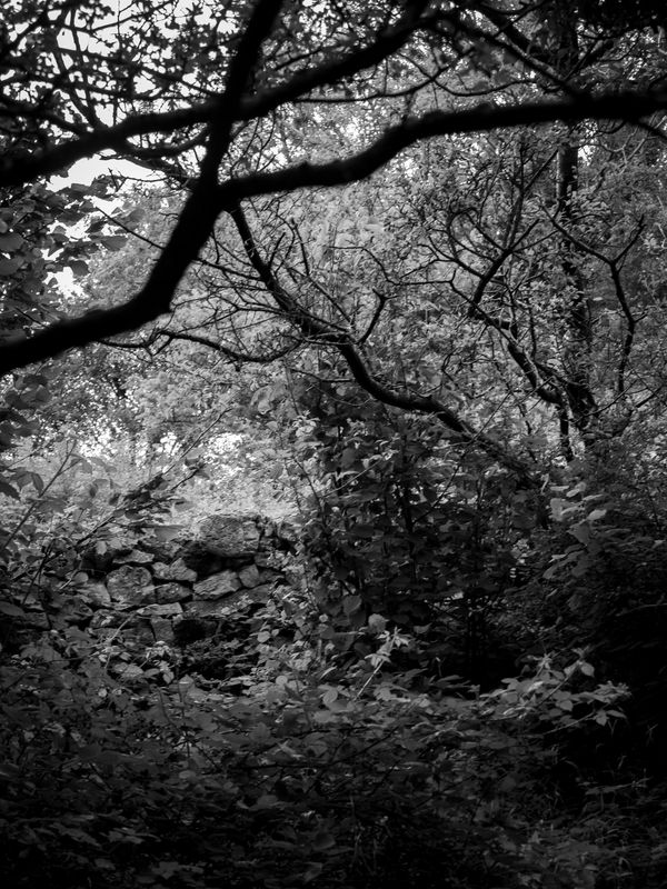 Warton Crag, Warton, UK
