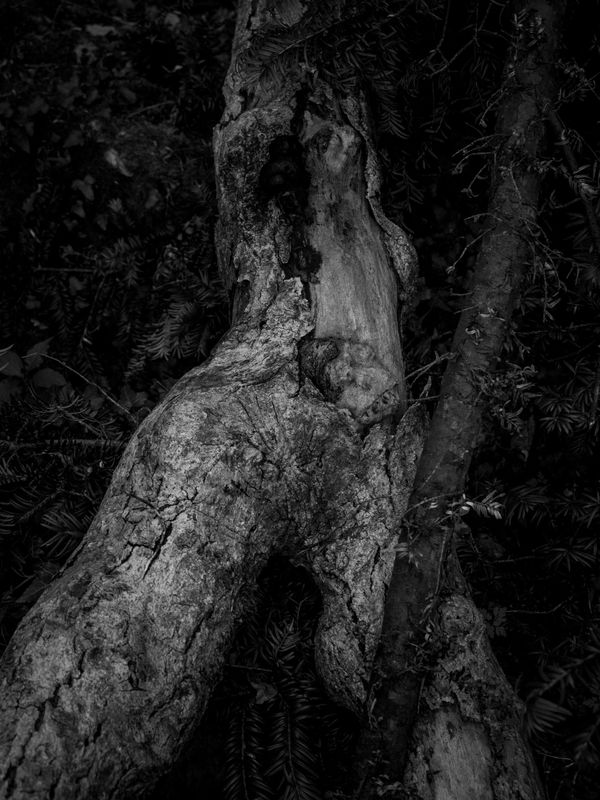 Warton Crag, Warton, UK