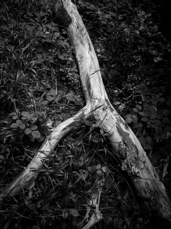 Warton Crag, Warton, UK