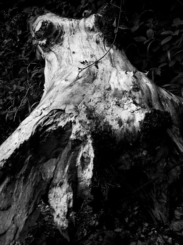 Warton Crag, Warton, UK