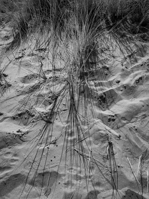 g13/64/477964/2/175698131.f30788e3.JPEG