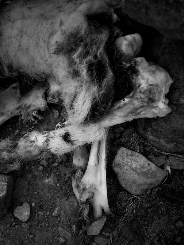 Goredale Scar, near Malham, UK