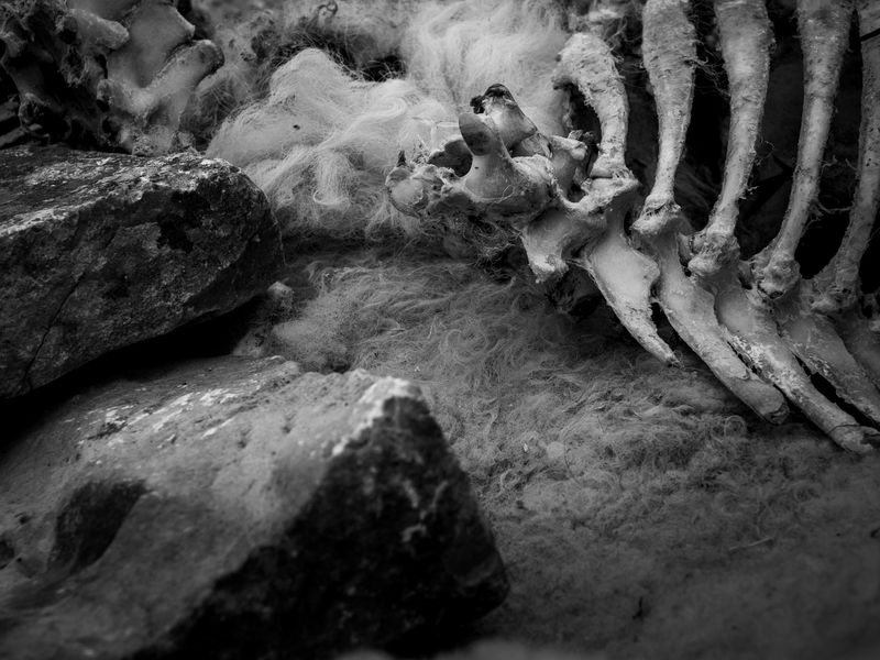 Goredale Scar, near Malham, UK