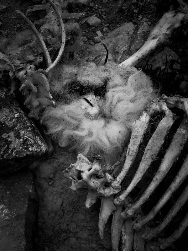 Goredale Scar, near Malham, UK