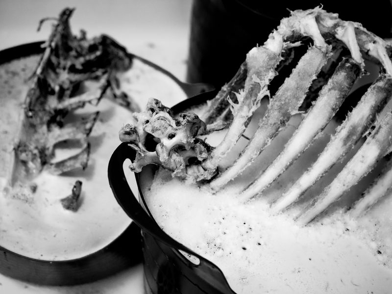 Goredale Scar, near Malham, UK