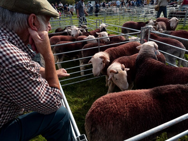 Keswick Show, Keswick, The Lake District, UK