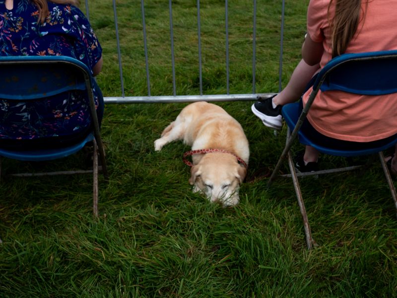 Keswick Show, Keswick, The Lake District, UK