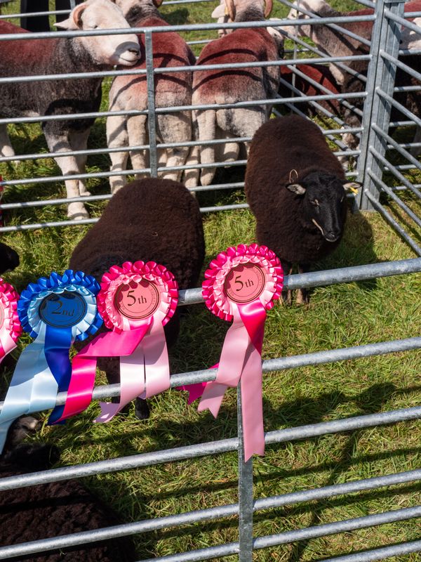 Keswick Show, Keswick, The Lake District, UK