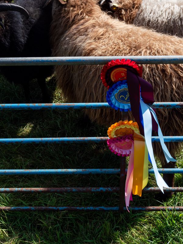 Keswick Show, Keswick, The Lake District, UK