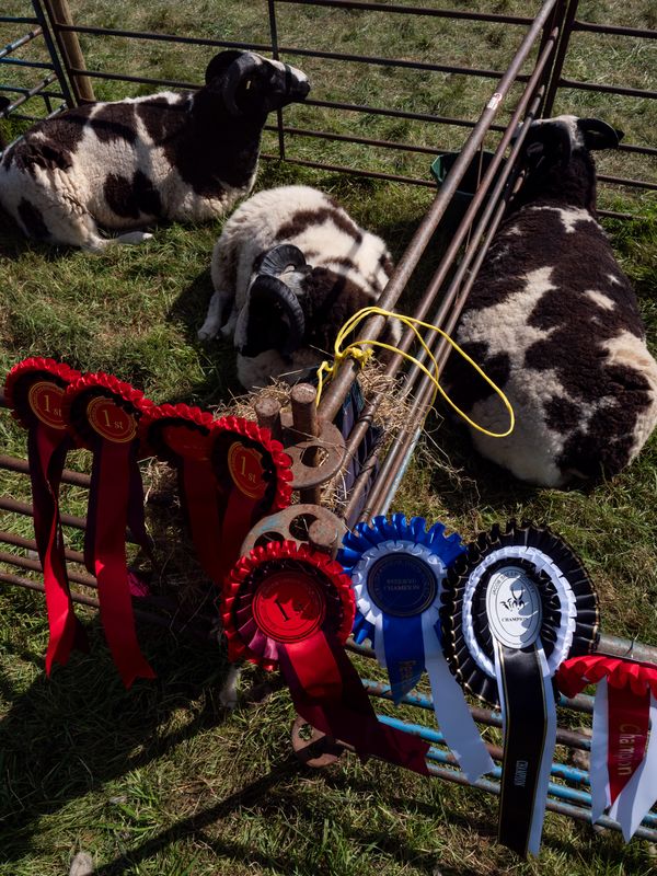 Keswick Show, Keswick, The Lake District, UK