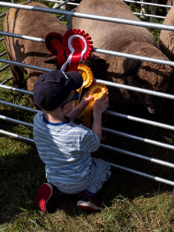 Keswick Show, Keswick, The Lake District, UK