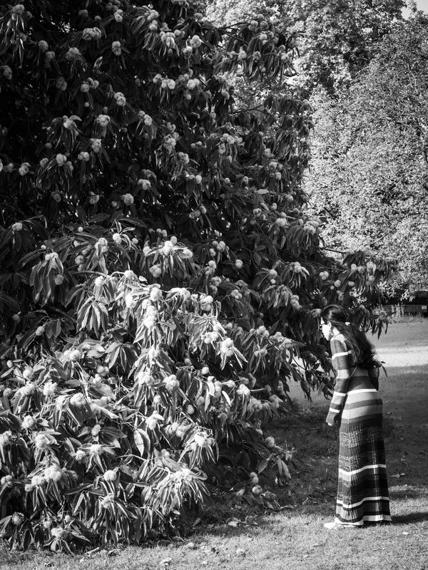 Hyde Park, London, UK