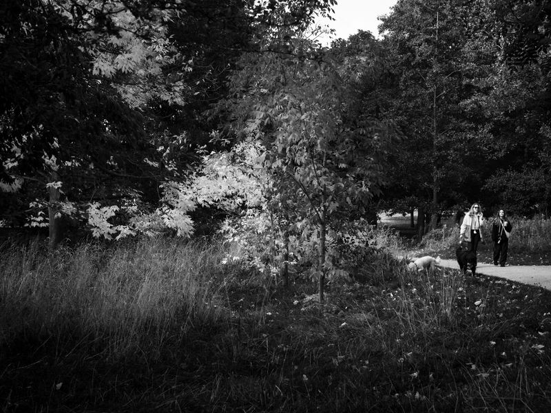 Hyde Park, London, UK