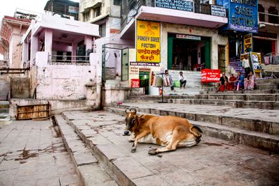 At the Ghats by the Ganges