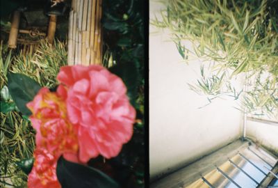 g13/64/477964/3/175320185.e6e52908.JPEG