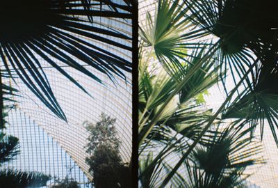 g13/64/477964/3/175320189.1c9a38b9.JPEG