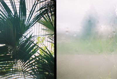 g13/64/477964/3/175320190.786711d8.JPEG