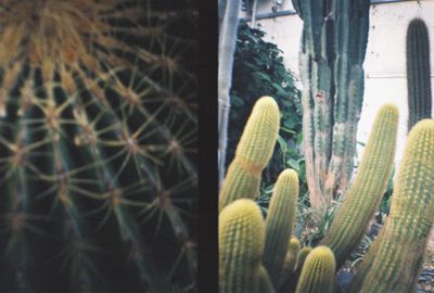 g13/64/477964/3/175320191.e2f1b60c.JPEG
