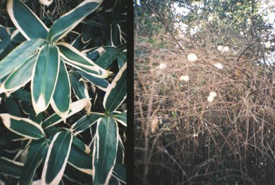 g13/64/477964/3/175320201.c8ab1760.JPEG
