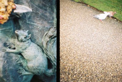 g13/64/477964/3/175320202.1f06ab9c.JPEG