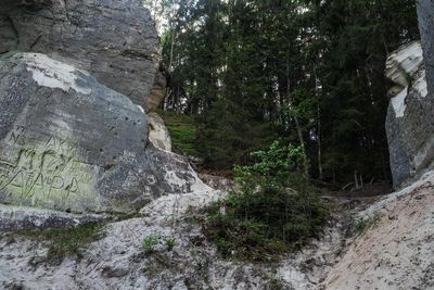 g13/64/477964/3/175330966.d181fa61.JPEG