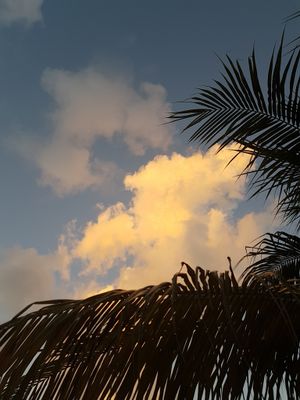 g13/64/477964/3/175336193.b8c48a77.JPEG