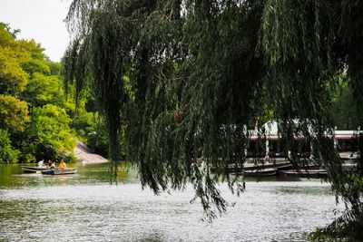g13/64/477964/3/175349979.d65ba121.JPEG