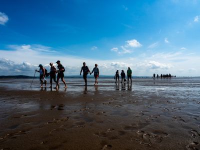 In The Footsteps of the Guide